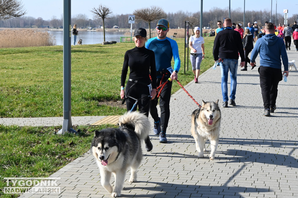 Zimowy bieg i Yeti Run nad Jeziorem Tarnobrzeskim