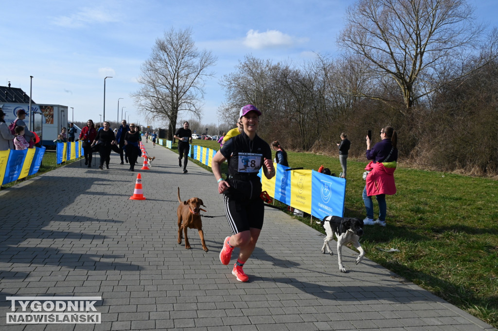 Zimowy bieg i Yeti Run nad Jeziorem Tarnobrzeskim