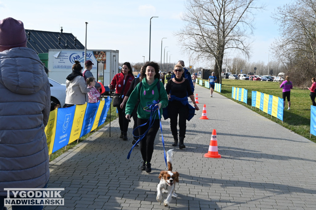 Zimowy bieg i Yeti Run nad Jeziorem Tarnobrzeskim