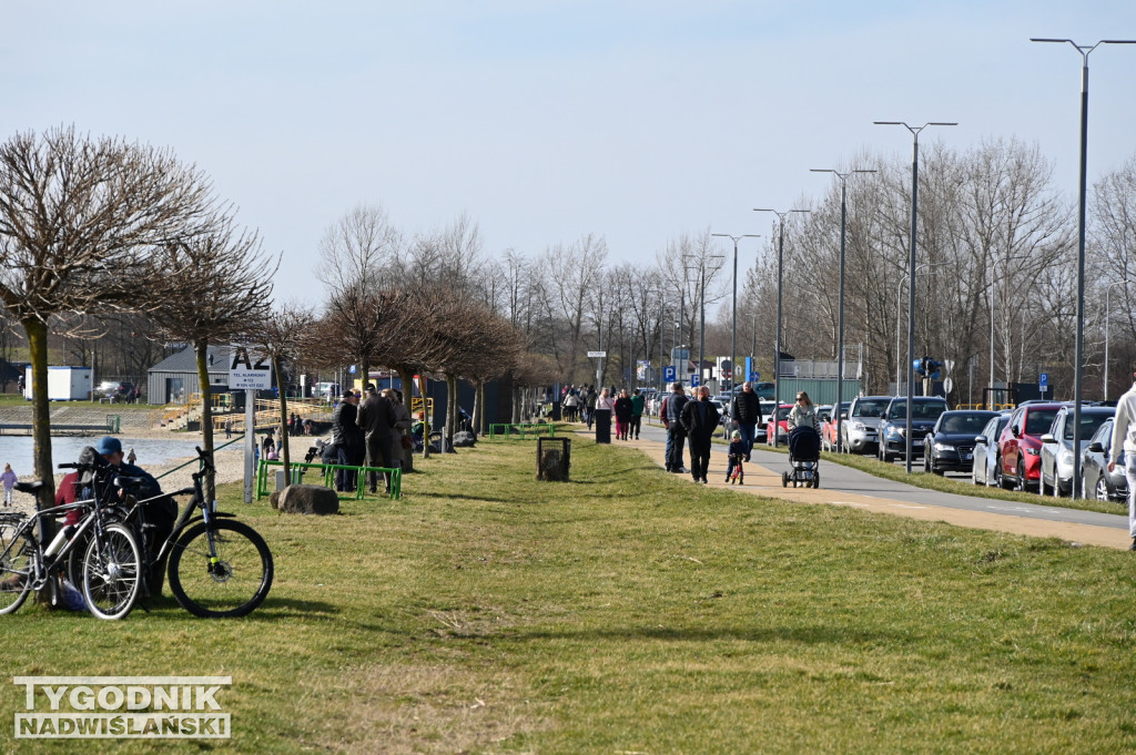 Niedziela nad Jeziorem Tarnobrzeskim - 25 lutego