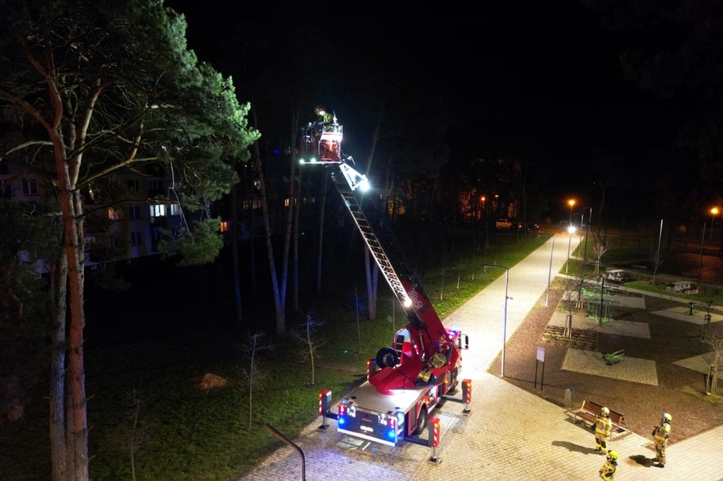 Strażacy ratowali kota w Gorzycach