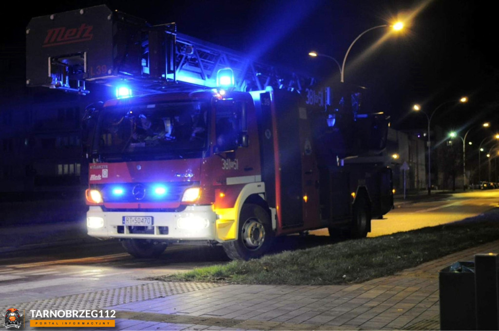 Strażacy ratowali kota w Gorzycach
