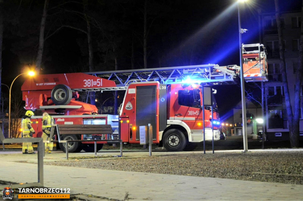 Strażacy ratowali kota w Gorzycach