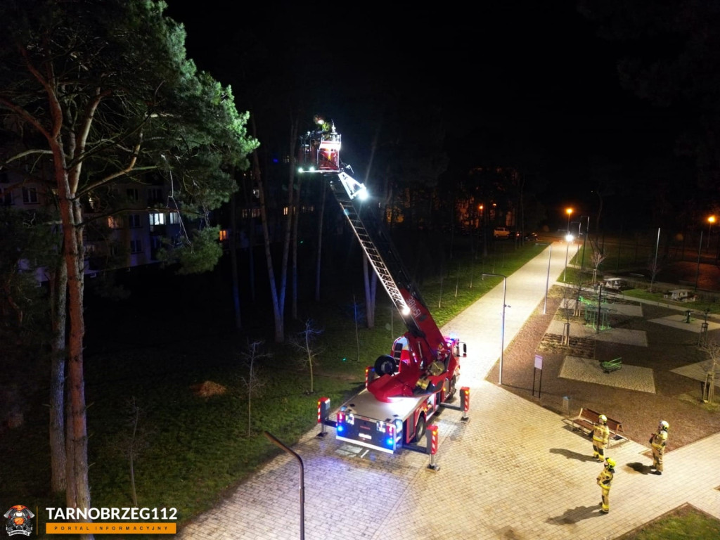 Strażacy ratowali kota w Gorzycach