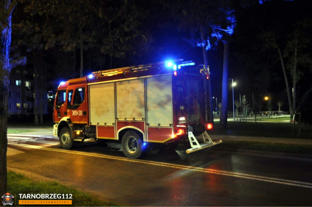 Strażacy ratowali kota w Gorzycach