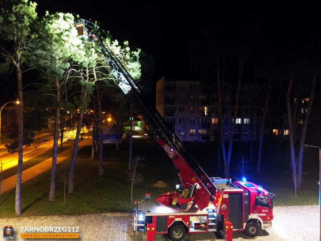 Strażacy ratowali kota w Gorzycach