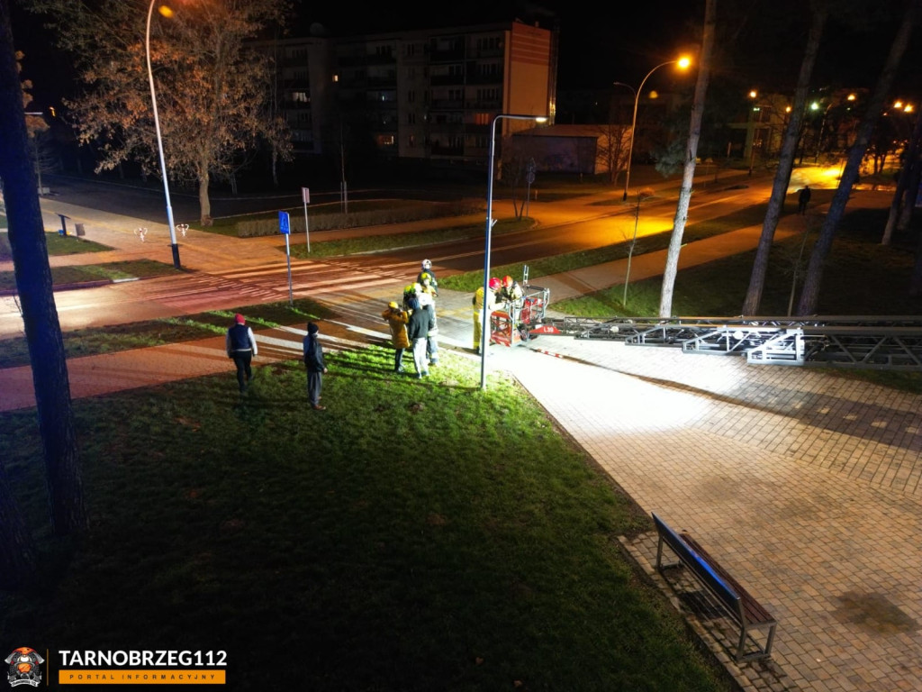 Strażacy ratowali kota w Gorzycach