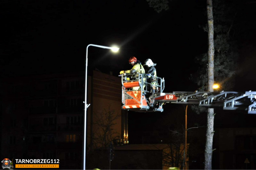 Strażacy ratowali kota w Gorzycach