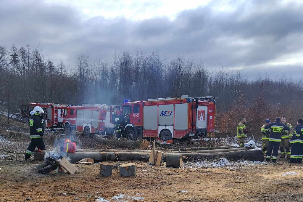 Mężczyzna przygnieciony przez drzewo w gm. Bogoria