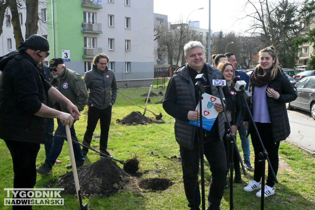 Sadzenie drzew przez kandydatów KO w Tarnobrzegu