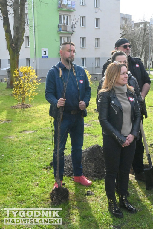 Sadzenie drzew przez kandydatów KO w Tarnobrzegu