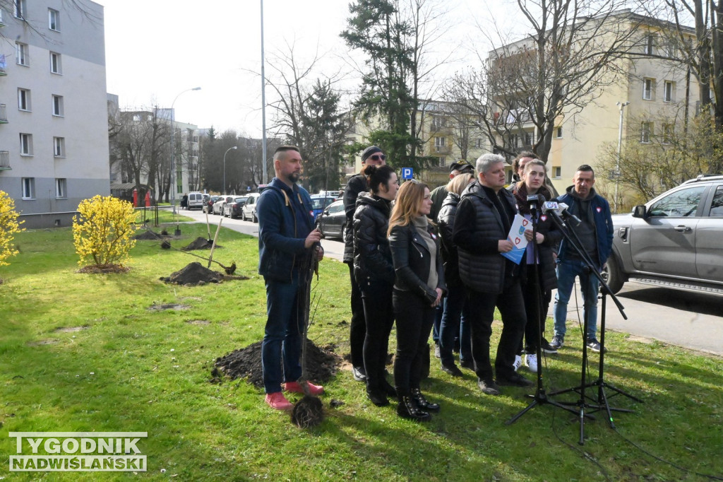 Sadzenie drzew przez kandydatów KO w Tarnobrzegu