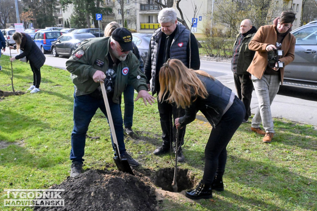 Sadzenie drzew przez kandydatów KO w Tarnobrzegu