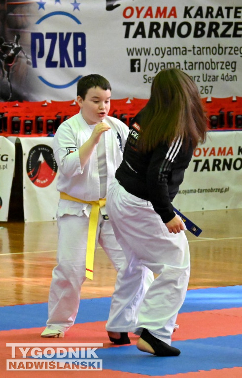 Mistrzostwa Makroregionu w Karate w Tarnobrzegu