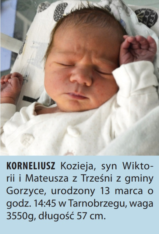 Zdjęcia dzieci urodzonych w naszych szpitalach