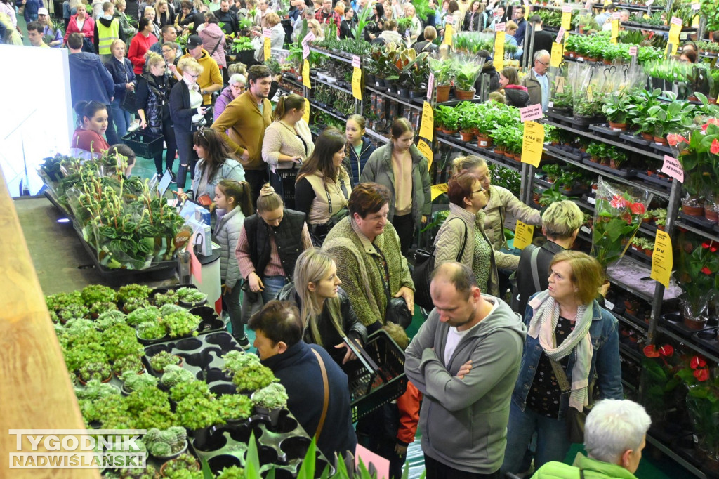 Festiwal Roślin w hali tarnobrzeskiego MOSiR