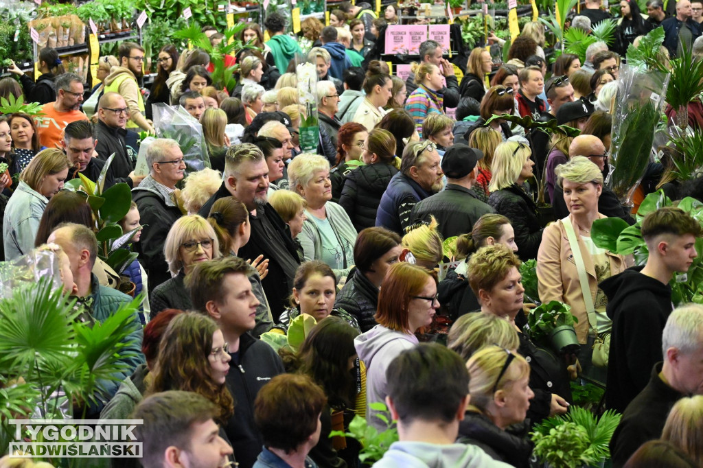 Festiwal Roślin w hali tarnobrzeskiego MOSiR