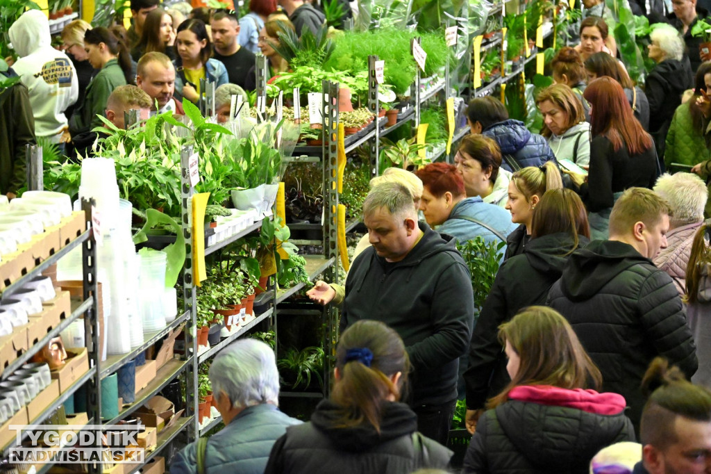 Festiwal Roślin w hali tarnobrzeskiego MOSiR