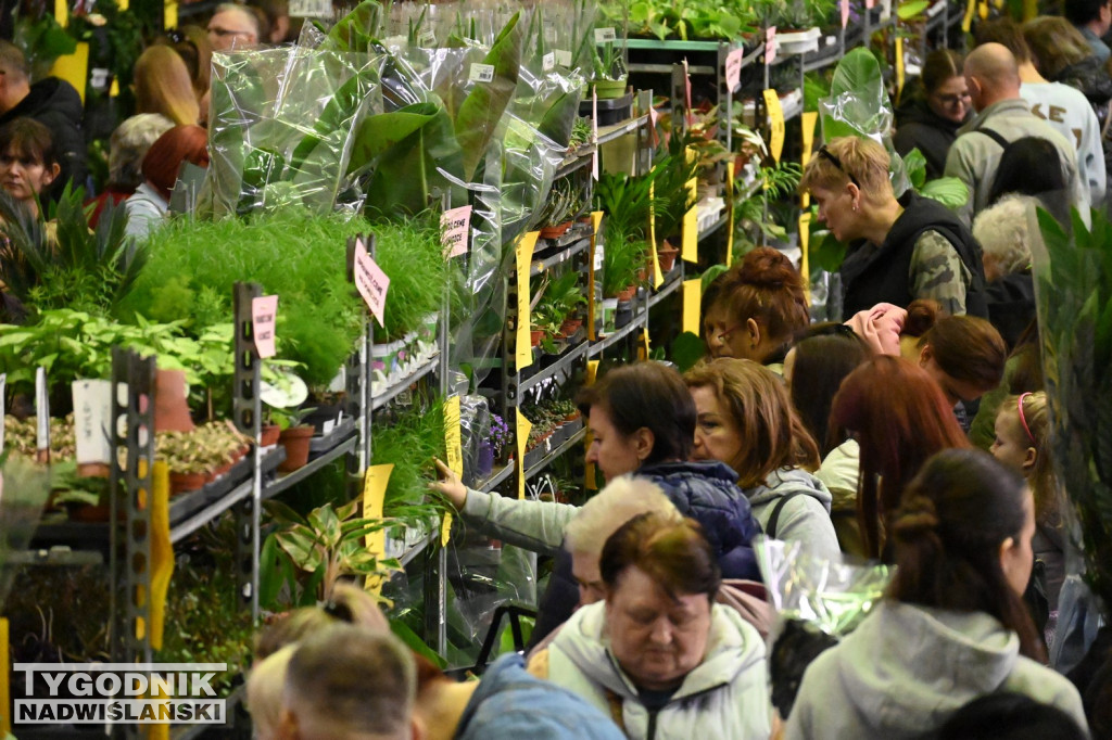 Festiwal Roślin w hali tarnobrzeskiego MOSiR