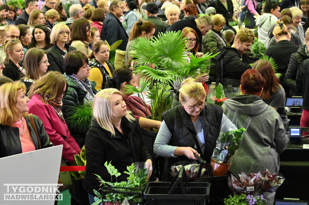 Festiwal Roślin w hali tarnobrzeskiego MOSiR