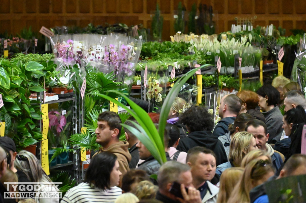 Festiwal Roślin w hali tarnobrzeskiego MOSiR