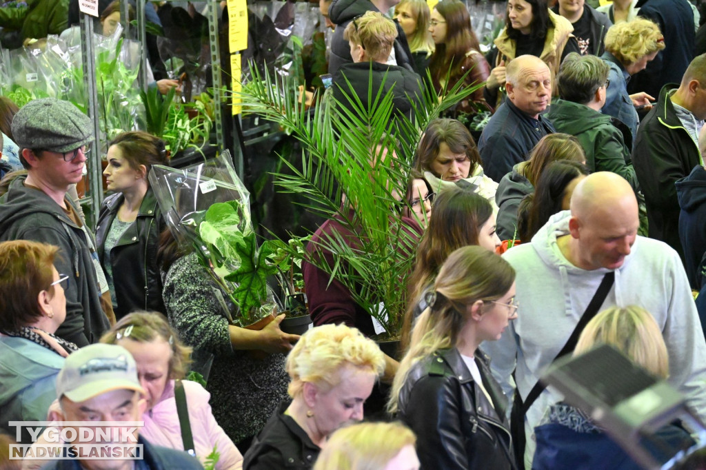 Festiwal Roślin w hali tarnobrzeskiego MOSiR