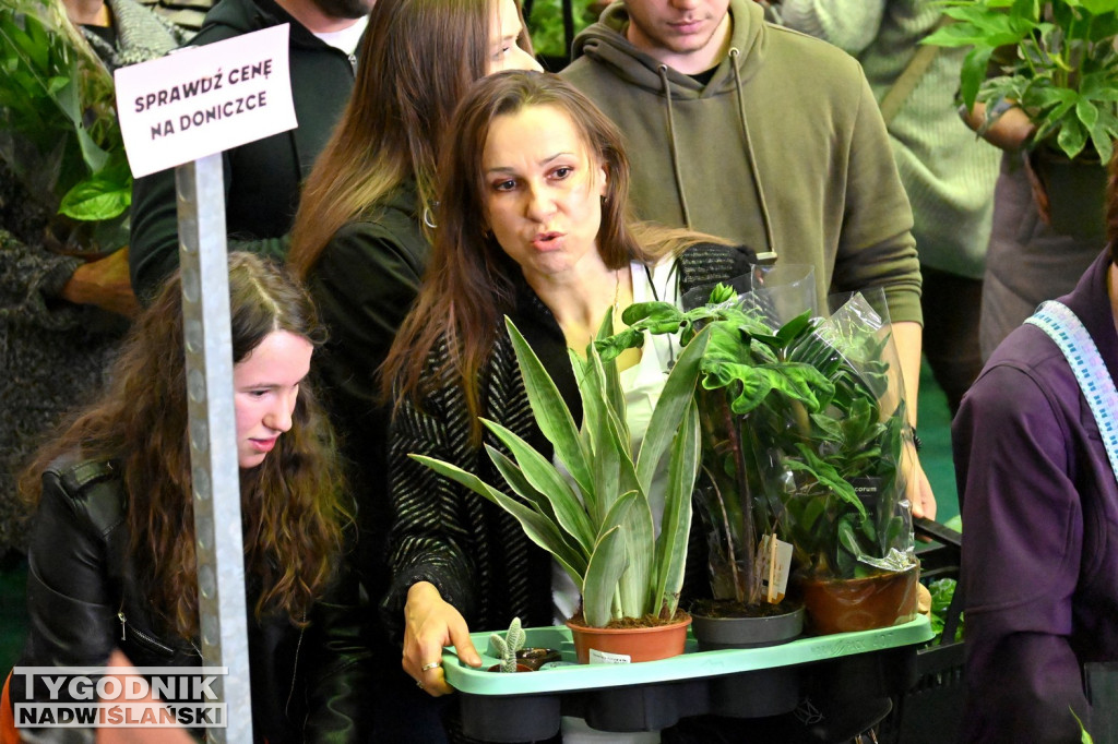 Festiwal Roślin w hali tarnobrzeskiego MOSiR