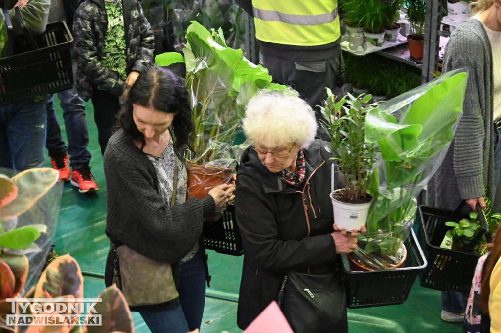 Festiwal Roślin w hali tarnobrzeskiego MOSiR