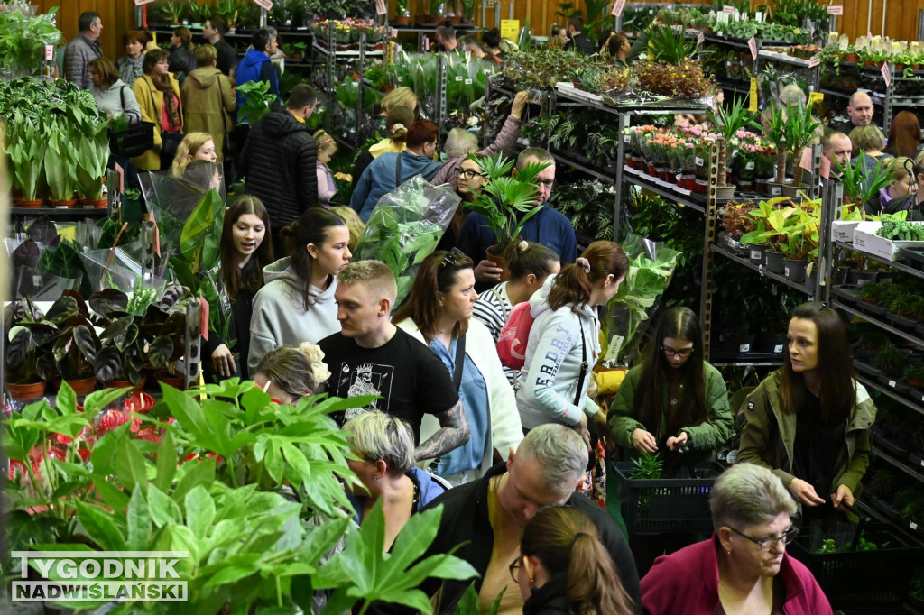 Festiwal Roślin w hali tarnobrzeskiego MOSiR