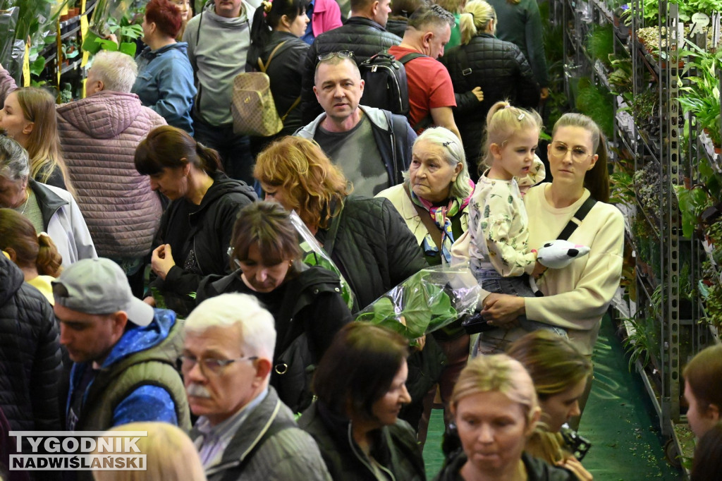 Festiwal Roślin w hali tarnobrzeskiego MOSiR