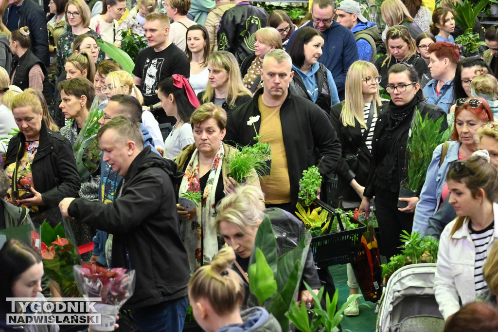 Festiwal Roślin w hali tarnobrzeskiego MOSiR