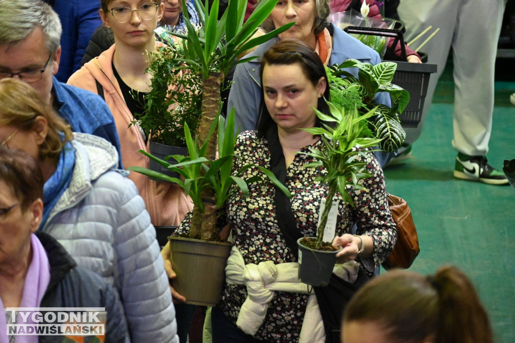 Festiwal Roślin w hali tarnobrzeskiego MOSiR