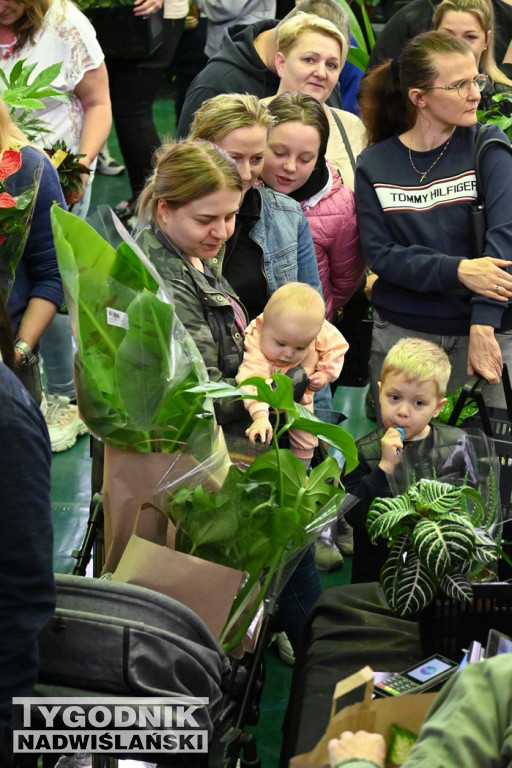 Festiwal Roślin w hali tarnobrzeskiego MOSiR