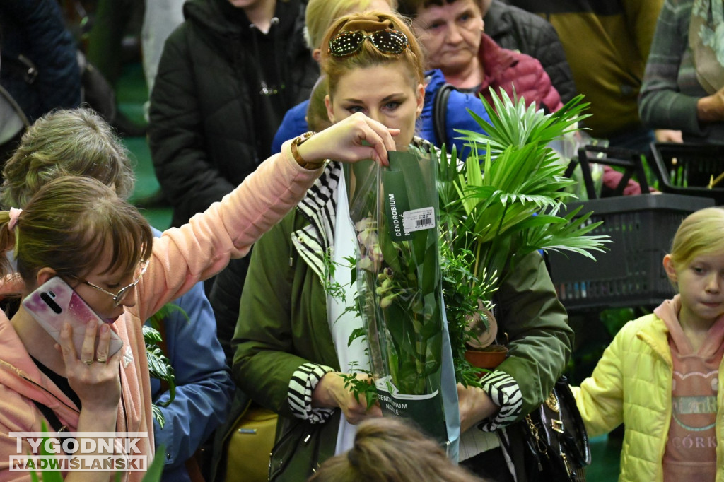 Festiwal Roślin w hali tarnobrzeskiego MOSiR