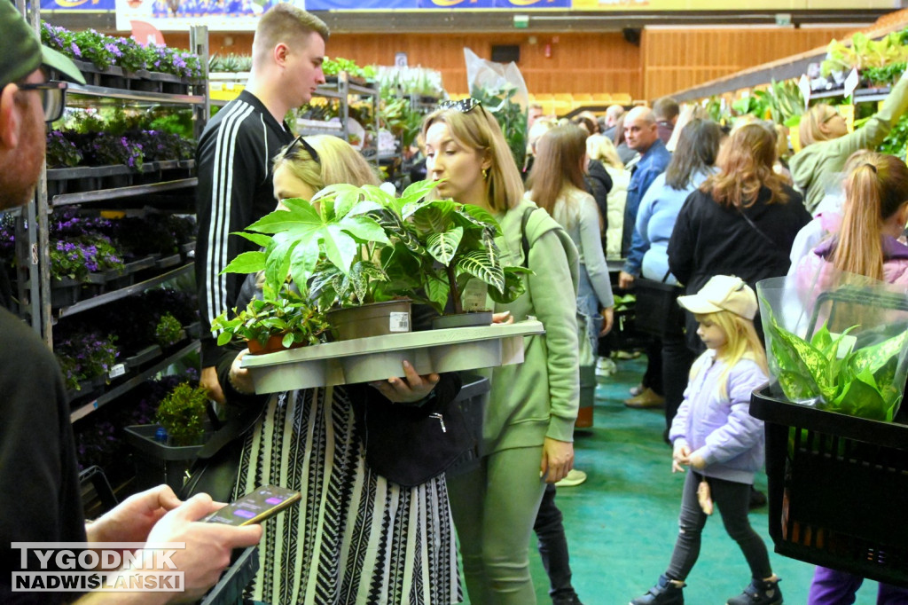 Festiwal Roślin w hali tarnobrzeskiego MOSiR