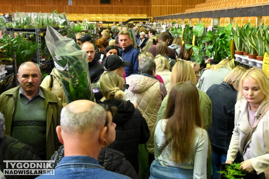 Festiwal Roślin w hali tarnobrzeskiego MOSiR