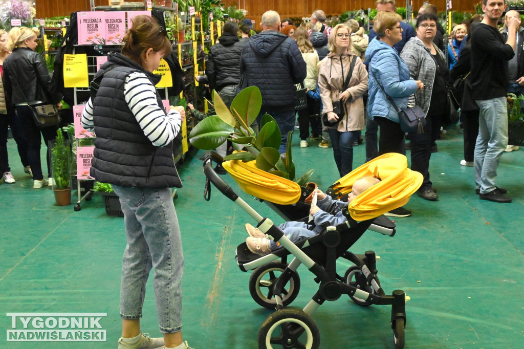 Festiwal Roślin w hali tarnobrzeskiego MOSiR