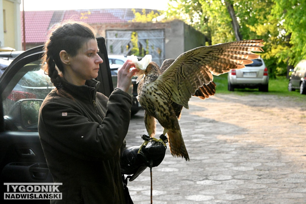 Noc Sów w tarnobrzeskim Centrum Natua 2000