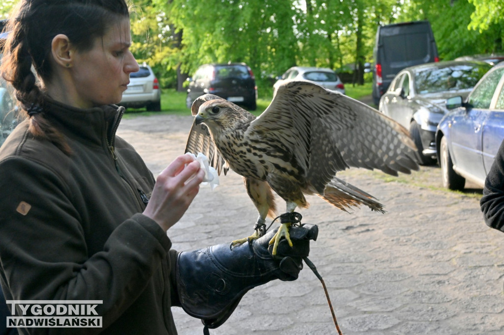 Noc Sów w tarnobrzeskim Centrum Natua 2000