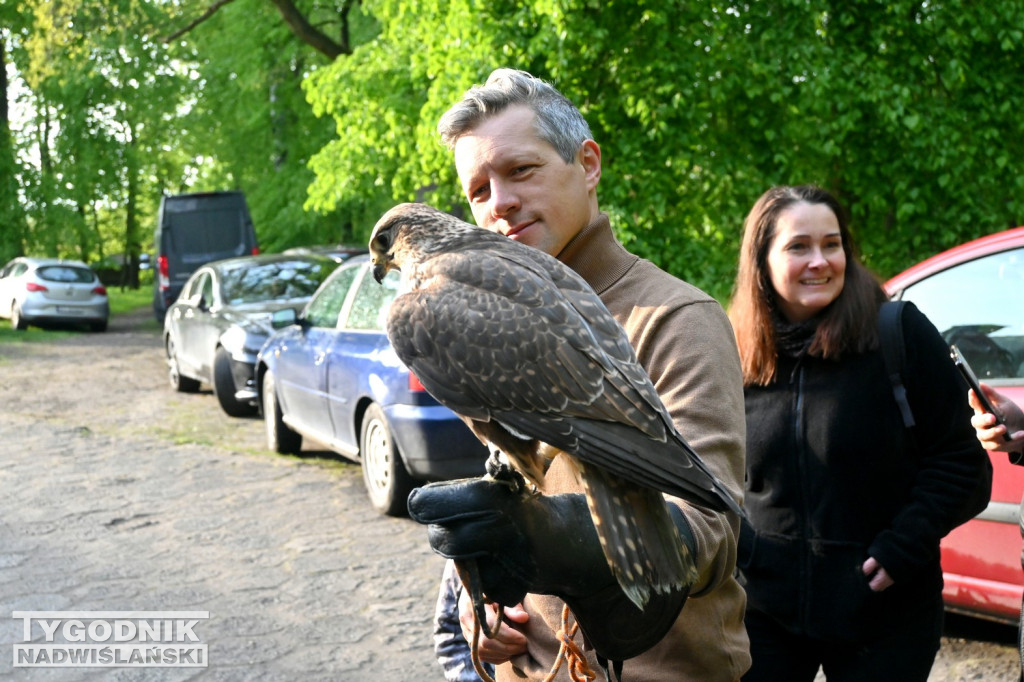 Noc Sów w tarnobrzeskim Centrum Natua 2000