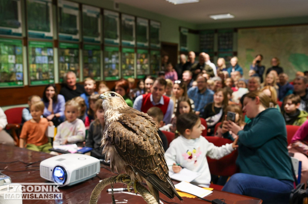 Noc Sów w tarnobrzeskim Centrum Natua 2000