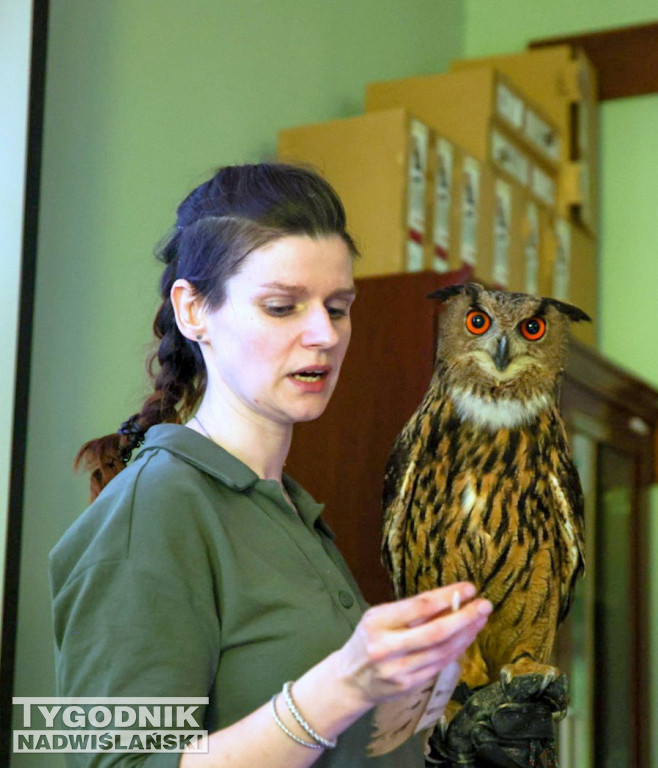 Noc Sów w tarnobrzeskim Centrum Natua 2000