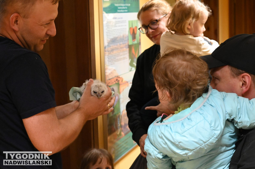 Noc Sów w tarnobrzeskim Centrum Natua 2000