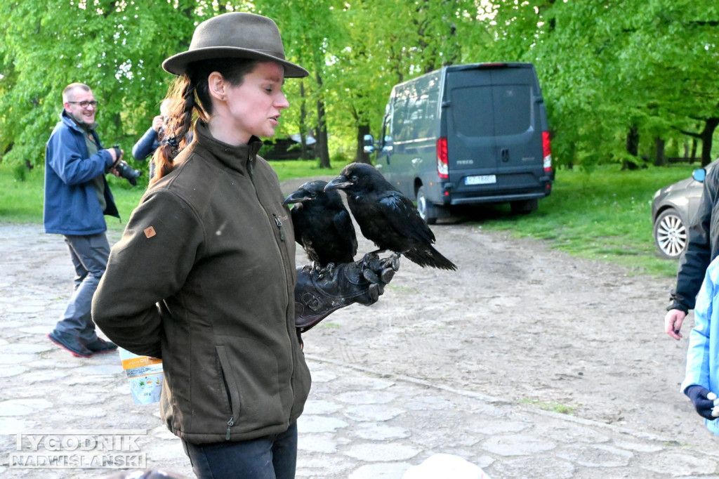 Noc Sów w tarnobrzeskim Centrum Natua 2000