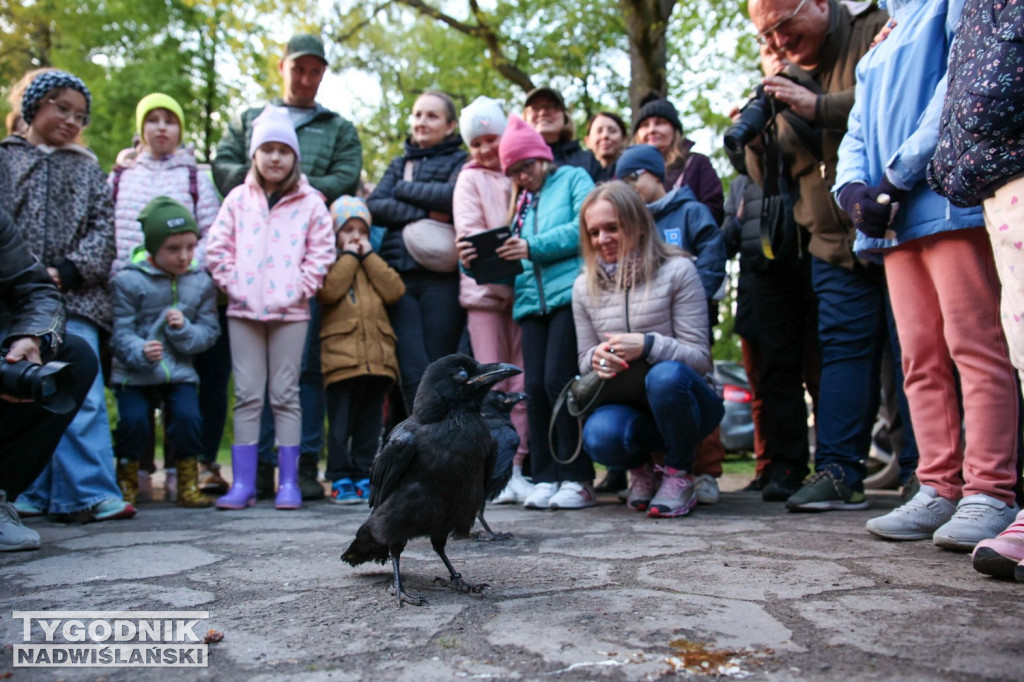 Noc Sów w tarnobrzeskim Centrum Natua 2000