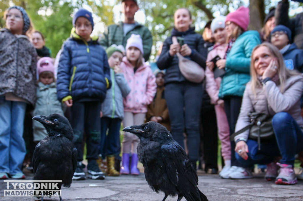 Noc Sów w tarnobrzeskim Centrum Natua 2000