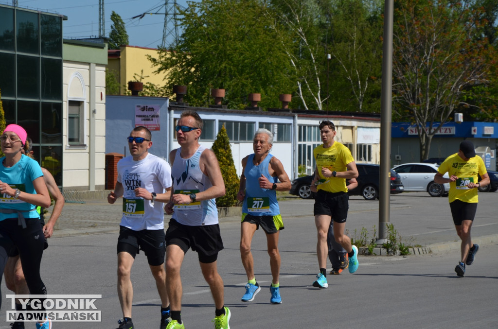 43. Bieg Siarkowca - bieg główny