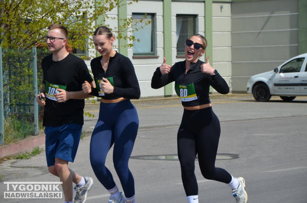 43. Bieg Siarkowca - bieg główny