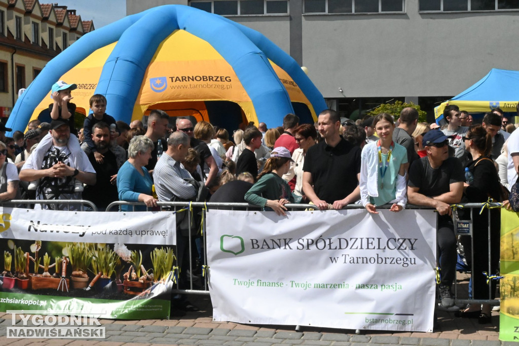 Sztafeta Przedszkolaków w czasie Biegu Siarkowca