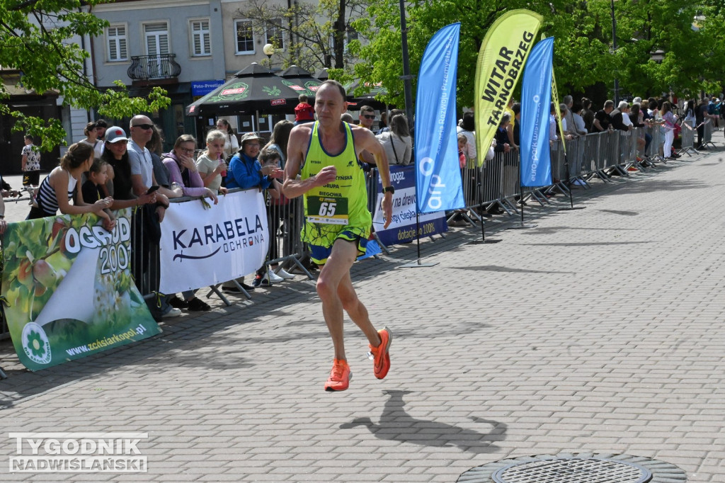 43. Bieg Siarkowca - bieg główny